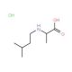 2-[(3-methylbutyl)amino]propanoic acid hydrochloride - chemical structure image