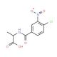 2-[(4-chloro-3-nitrobenzoyl)amino]propanoic acid - chemical structure image
