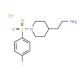 (2-{1-[(4-Fluorophenyl)sulfonyl]piperidin-4-yl}ethyl)amine hydrochloride - chemical structure image