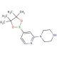 2-(1-Piperazinyl)pyridine-4-boronic acid pinacol ester (CAS 957198-31-1) - chemical structure image
