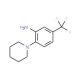 2-(1-Piperidinyl)-5-(trifluoromethyl)aniline (CAS 1496-40-8) - chemical structure image