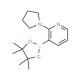 2-(1-Pyrrolidinyl)pyridine-3-boronic acid pinacol ester (CAS 1073354-41-2) - chemical structure image