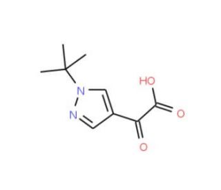 2-(1-tert-butyl-1H-pyrazol-4-yl)-2-oxoacetic acid - chemical structure image