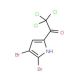 2,2,2-Trichloro-1-(4,5-dibromo-1H-pyrrol-2-yl)-1-ethanone (CAS 50371-52-3) - chemical structure image