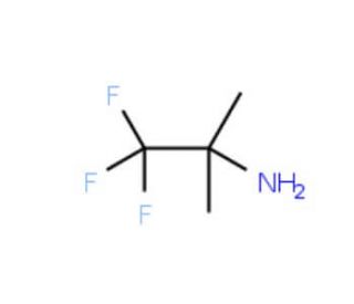 2,2,2-Trifluoro-1,1-dimethyl-ethylamine (CAS 812-18-0) - chemical structure image