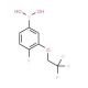 (2,2,2-Trifluoroethyl) (5-borono-2-fluorophenyl)ether (CAS 957034-62-7) - chemical structure image