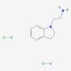 2-(2,3-dihydro-1H-indol-1-yl)ethan-1-amine dihydrochloride (CAS 46006-95-5) - chemical structure image