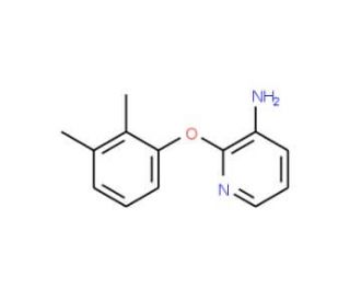 2-(2,3-dimethylphenoxy)pyridin-3-amine (CAS 175136-23-9) - chemical structure image