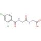 [2-(2,4-Dichloro-benzoylamino)-acetylamino]-acetic acid - chemical structure image