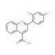 2-(2,4-Dichlorophenyl)quinoline-4-carboxylic acid - chemical structure image