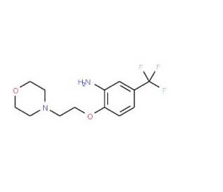2-[2-(4-Morpholinyl)ethoxy]-5-(trifluoromethyl)-aniline - chemical structure image
