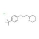 2-{2-[4-(tert-Butyl)phenoxy]ethyl}piperidine hydrochloride - chemical structure image