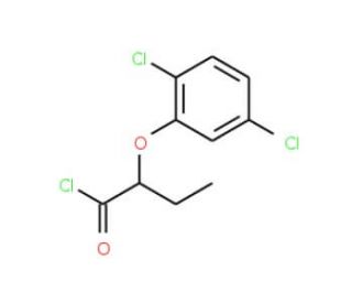 2-(2,5-dichlorophenoxy)butanoyl chloride - chemical structure image