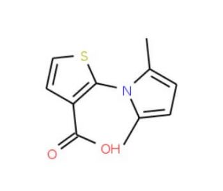 2-(2,5-dimethyl-1H-pyrrol-1-yl)thiophene-3-carboxylic acid - chemical structure image