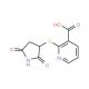 2-(2,5-Dioxo-pyrrolidin-3-ylsulfanyl)-nicotinic acid - chemical structure image