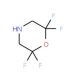 2,2,6,6-tetrafluoromorpholine - chemical structure image
