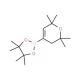 (2,2,6,6-Tetramethyl-3,6-dihydro-2H-pyran-4-yl)boronic acid, pinacol ester 的分子结构, CAS编号: 1142363-56-1 (2,2,6,6-Tetramethyl-3,6-dihydro-2H-pyran-4-yl)boronic acid, pinacol ester (CAS 1142363-56-1) - chemical structure image