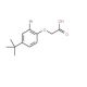 2-[2-Bromo-4-(tert-butyl)phenoxy]acetic acid - chemical structure image