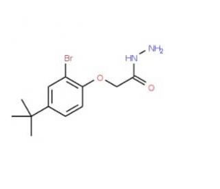 2-[2-Bromo-4-(tert-butyl)phenoxy]acetohydrazide - chemical structure image