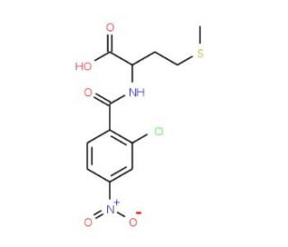 2-(2-Chloro-4-nitro-benzoylamino)-4-methylsulfanyl-butyric acid - chemical structure image