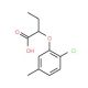 2-(2-Chloro-5-methylphenoxy)butanoic acid - chemical structure image