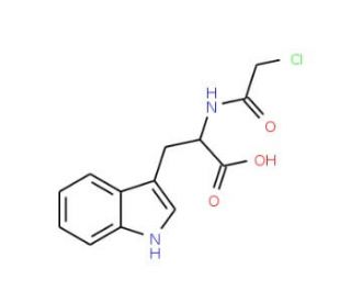 2-(2-Chloro-acetylamino)-3-(1H-indol-3-yl)-propionic acid (CAS 64709-57-5) - chemical structure image