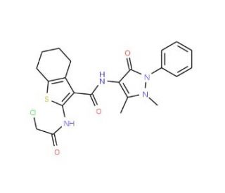 2-(2-Chloro-acetylamino)-4,5,6,7-tetrahydro-benzo[b]thiophene-3-carboxylic acid (1,5-dimethyl-3-oxo-2-phenyl-2,3-dihydro-1H-p