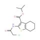 2-(2-Chloro-acetylamino)-4,5,6,7-tetrahydro-benzo[b]thiophene-3-carboxylic acid isopropyl ester - chemical structure image