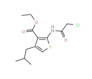 2-(2-Chloro-acetylamino)-4-isobutyl-thiophene-3-carboxylic acid ethyl ester (CAS 554423-83-5) - chemical structure image