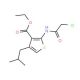 2-(2-Chloro-acetylamino)-4-isobutyl-thiophene-3-carboxylic acid ethyl ester (CAS 554423-83-5) - chemical structure image