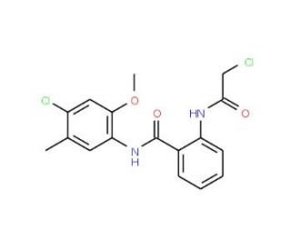2-(2-Chloro-acetylamino)-N-(4-chloro-2-methoxy-5-methyl-phenyl)-benzamide - chemical structure image