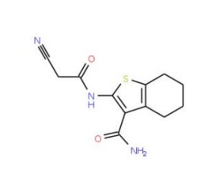 2-(2-Cyano-acetylamino)-4,5,6,7-tetrahydro-benzo[b]thiophene-3-carboxylic acid amide - chemical structure image