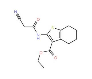 2-(2-Cyano-acetylamino)-4,5,6,7-tetrahydro-benzo[b]thiophene-3-carboxylic acid ethyl ester - chemical structure image