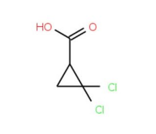 2,2-Dichloro-cyclopropanecarboxylic acid (CAS 5365-14-0) - chemical structure image