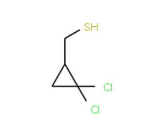 (2,2-dichlorocyclopropyl)methanethiol - chemical structure image