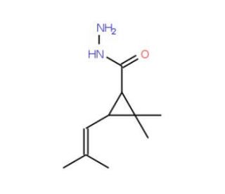 2,2-Dimethyl-3-(2-methyl-propenyl)-cyclopropanecarboxylic acid hydrazide - chemical structure image