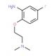 2-[2-(Dimethylamino)ethoxy]-5-fluoroaniline - chemical structure image