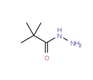 2,2-Dimethylpropionic acid hydrazide (CAS 42826-42-6) - chemical structure image