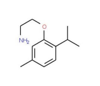 2-(2-Isopropyl-5-methyl-phenoxy)-ethylamine - chemical structure image