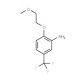 2-(2-Methoxy-ethoxy)-5-trifluoromethyl-phenylamine - chemical structure image