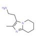 2-{2-methyl-5H,6H,7H,8H-imidazo[1,2-a]pyridin-3-yl}ethan-1-amine - chemical structure image