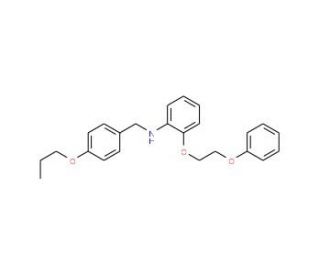 2-(2-Phenoxyethoxy)-N-(4-propoxybenzyl)aniline - chemical structure image