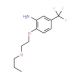 2-(2-Propoxyethoxy)-5-(trifluoromethyl)aniline - chemical structure image