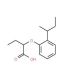 2-[2-(sec-Butyl)phenoxy]butanoic acid (CAS 915921-89-0) - chemical structure image