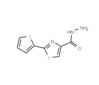 2-(2-Thienyl)-1,3-thiazole-4-carbohydrazide - chemical structure image