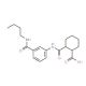 2-({3-[(Butylamino)carbonyl]anilino}carbonyl)-cyclohexanecarboxylic acid - chemical structure image