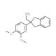 {[2-(3,4-dimethoxyphenyl)-2,3-dihydro-1H-inden-2-yl]methyl}amine - chemical structure image