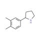 2-(3,4-Dimethyl-phenyl)-pyrrolidine (CAS 881040-12-6) - chemical structure image