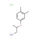 2-(3,4-Dimethylphenoxy)-1-propanamine hydrochloride - chemical structure image