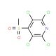2,3,5,6-Tetrachloro-4-(methylsulfonyl)pyridine (CAS 13108-52-6) - chemical structure image
